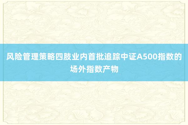 风险管理策略四肢业内首批追踪中证A500指数的场外指数产物