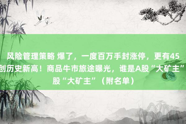 风险管理策略 爆了，一度百万手封涨停，更有4500亿龙头创历史新高！商品牛市旅途曝光，谁是A股“大矿主”（附名单）