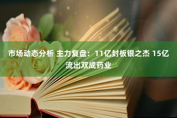 市场动态分析 主力复盘：11亿封板银之杰 15亿流出双成药业