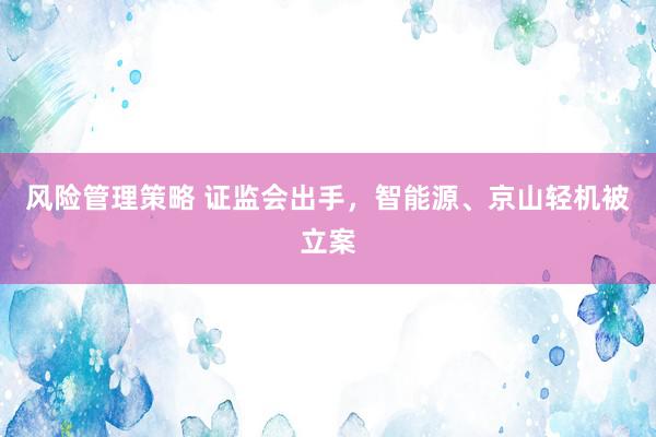 风险管理策略 证监会出手，智能源、京山轻机被立案