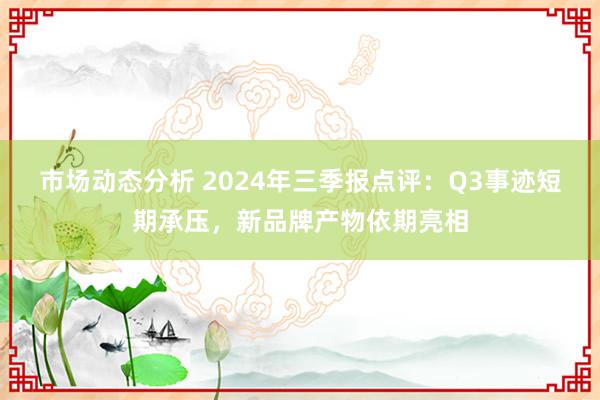 市场动态分析 2024年三季报点评：Q3事迹短期承压，新品牌产物依期亮相