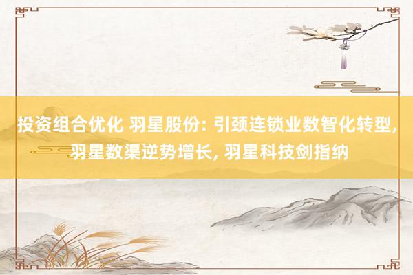 投资组合优化 羽星股份: 引颈连锁业数智化转型, 羽星数渠逆势增长, 羽星科技剑指纳