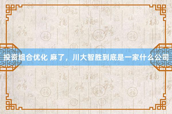 投资组合优化 麻了，川大智胜到底是一家什么公司