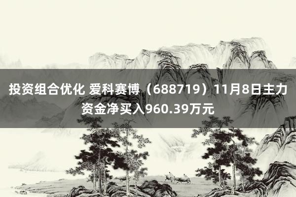 投资组合优化 爱科赛博（688719）11月8日主力资金净买入960.39万元