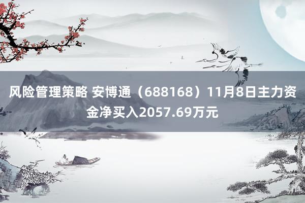 风险管理策略 安博通（688168）11月8日主力资金净买入2057.69万元