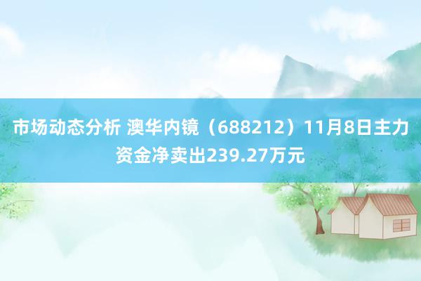 市场动态分析 澳华内镜（688212）11月8日主力资金净卖出239.27万元