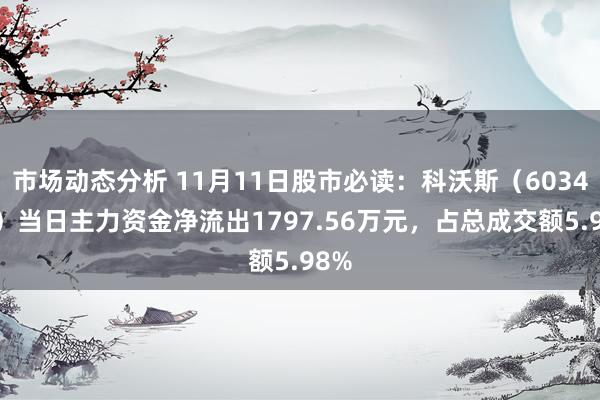 市场动态分析 11月11日股市必读：科沃斯（603486）当日主力资金净流出1797.56万元，占总成交额5.98%