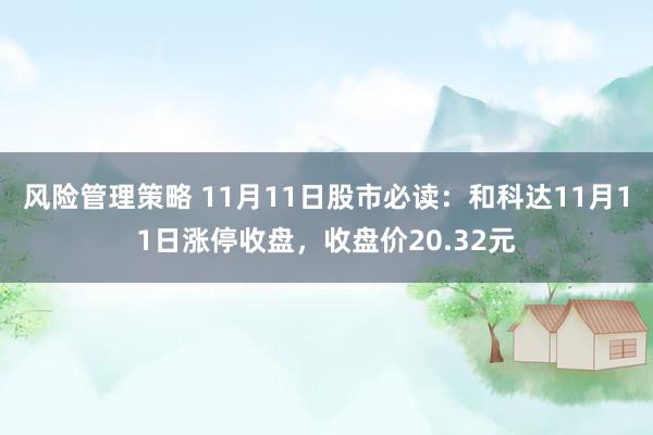 风险管理策略 11月11日股市必读：和科达11月11日涨停收盘，收盘价20.32元