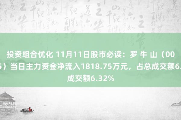 投资组合优化 11月11日股市必读：罗 牛 山（000735）当日主力资金净流入1818.75万元，占总成交额6.32%