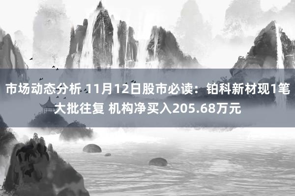 市场动态分析 11月12日股市必读：铂科新材现1笔大批往复 机构净买入205.68万元