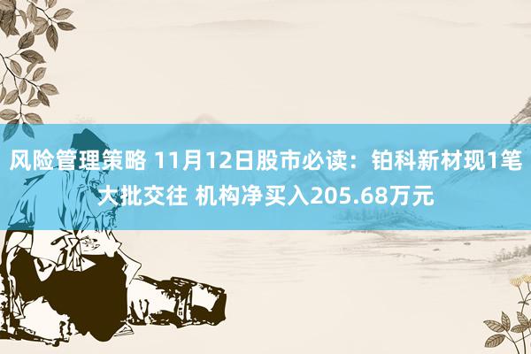 风险管理策略 11月12日股市必读：铂科新材现1笔大批交往 机构净买入205.68万元