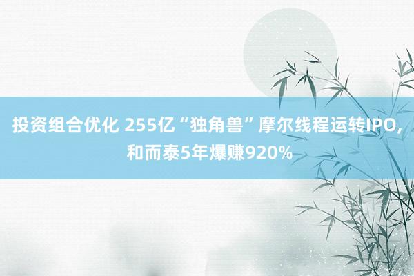 投资组合优化 255亿“独角兽”摩尔线程运转IPO, 和而泰5年爆赚920%