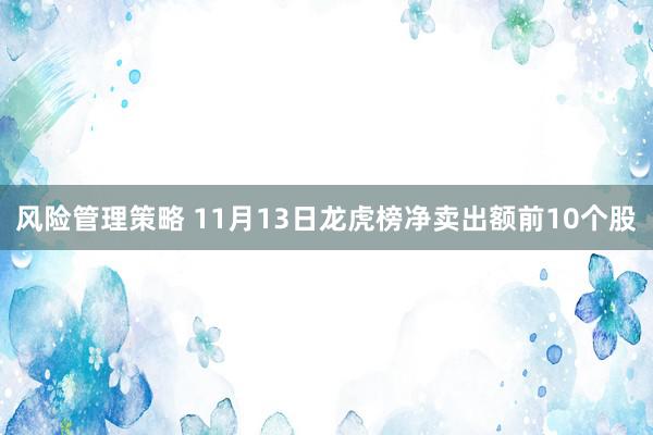 风险管理策略 11月13日龙虎榜净卖出额前10个股