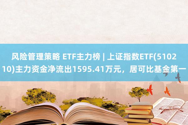 风险管理策略 ETF主力榜 | 上证指数ETF(510210)主力资金净流出1595.41万元，居可比基金第一