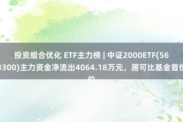 投资组合优化 ETF主力榜 | 中证2000ETF(563300)主力资金净流出4064.18万元，居可比基金首位