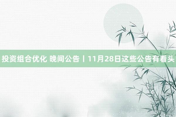 投资组合优化 晚间公告丨11月28日这些公告有看头