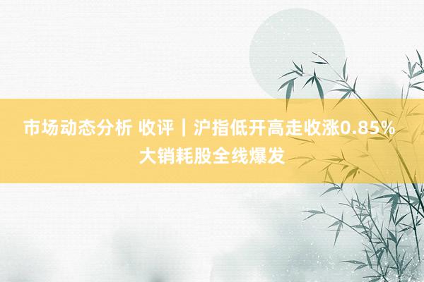 市场动态分析 收评｜沪指低开高走收涨0.85% 大销耗股全线爆发