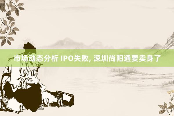 市场动态分析 IPO失败, 深圳尚阳通要卖身了