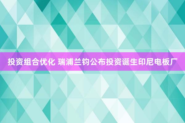 投资组合优化 瑞浦兰钧公布投资诞生印尼电板厂